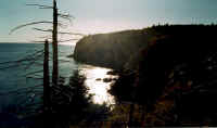 lorneville_cliffs.jpg (81240 bytes)